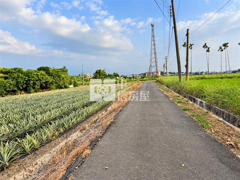 白河區內角段農地