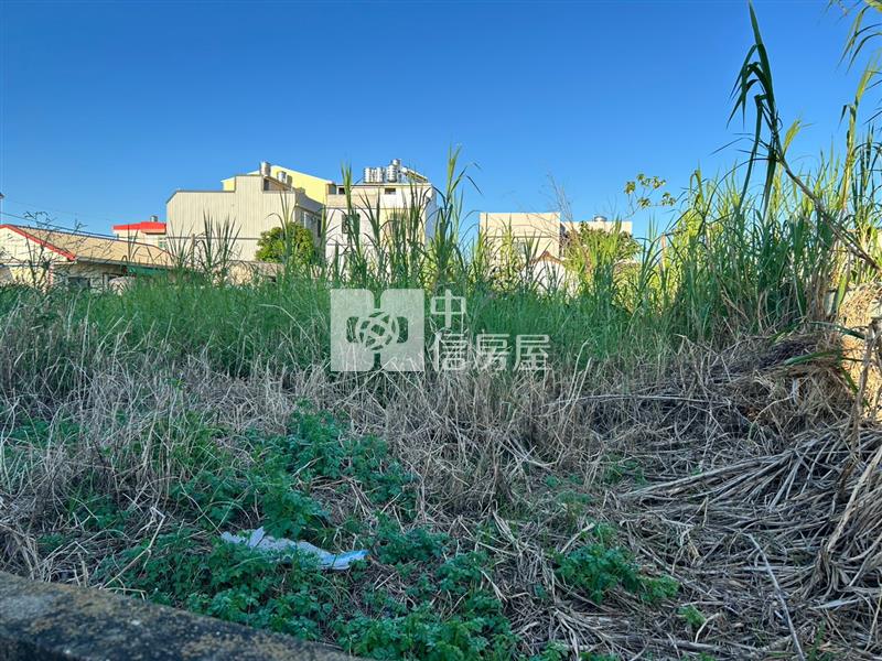 近竹橋國小方正建地