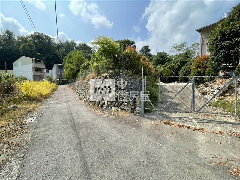桃米大建地