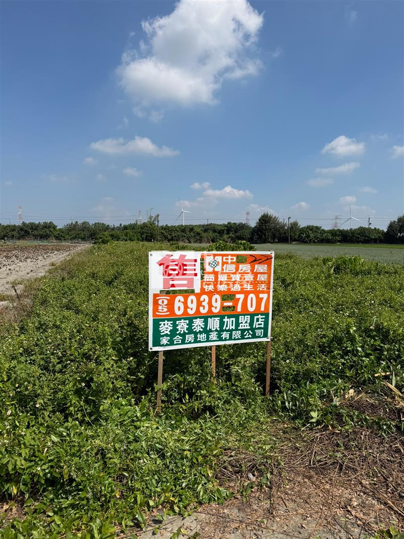 崙背貓兒干美農地