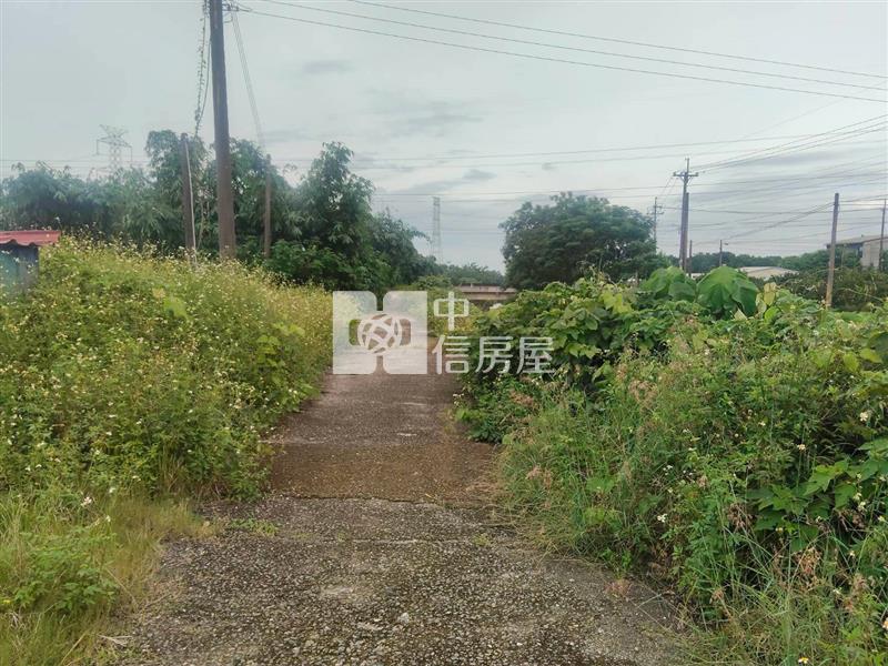 古坑頂新庄農地