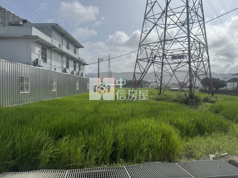 新埔投資田