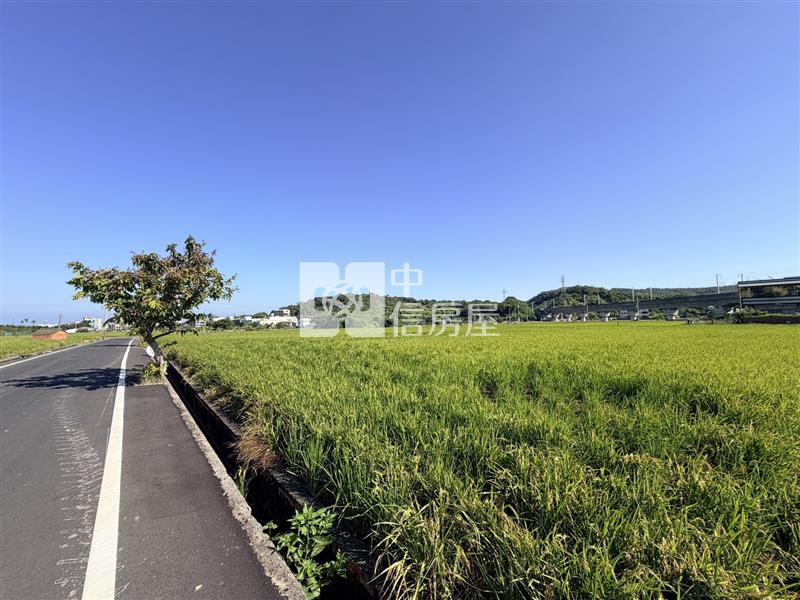 【安家】專任-苗栗苑裡交流道山腳國小農地
