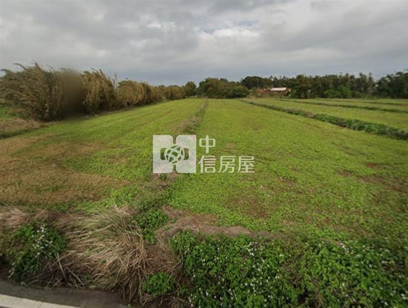 桃園觀音特農