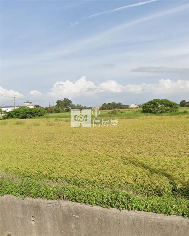 觀音保興路可分購角地農地