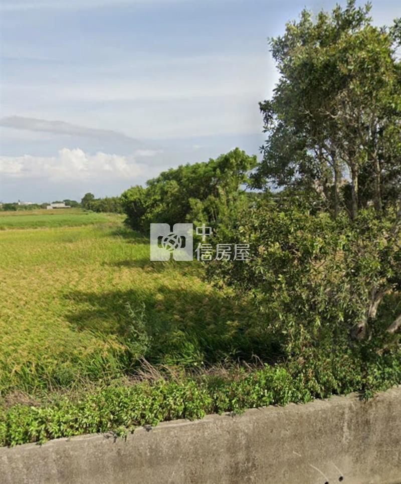 觀音保興路農地