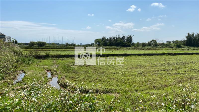 捷運綠線徵收田
