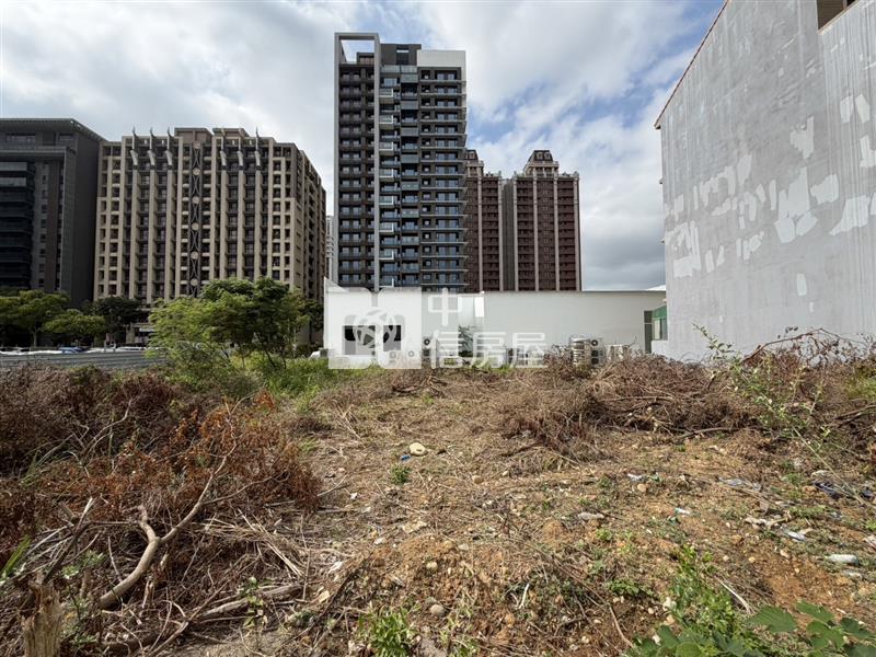 青埔A18青埔一街大面寬建地