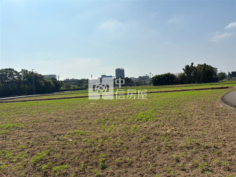 內壢雙面臨路 一般美農地