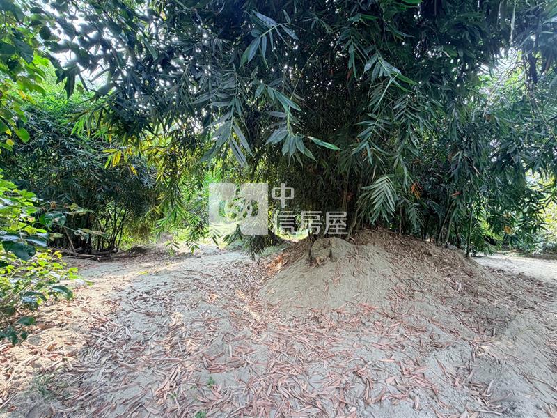 專-歸仁近高鐵超值優質美農地
