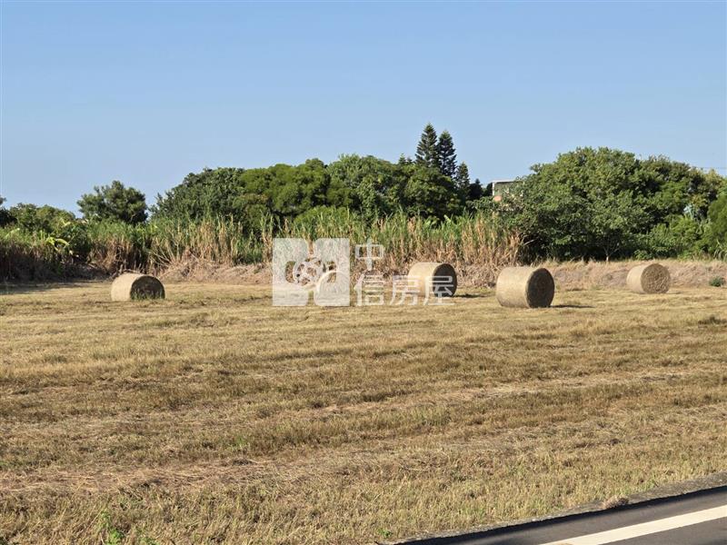 【安家】育仁國小66快速道路374坪農地