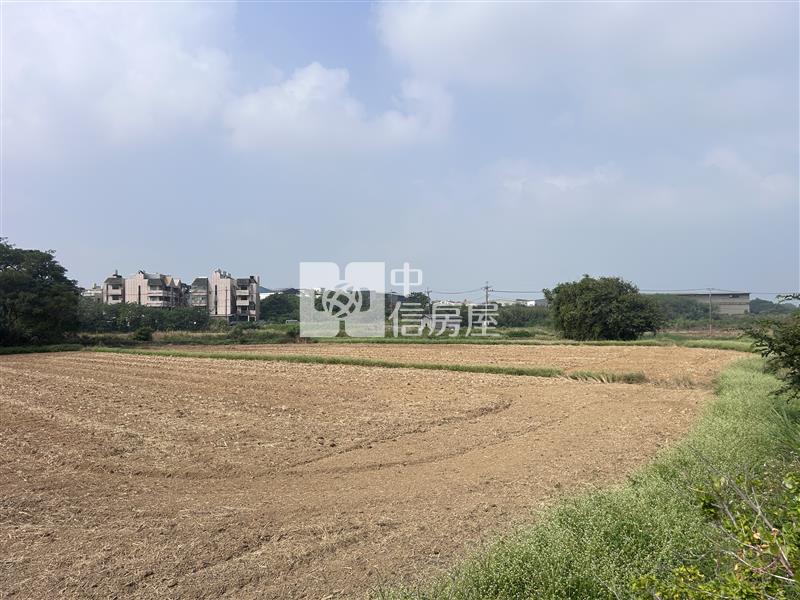 近新坡市區稀有美農地