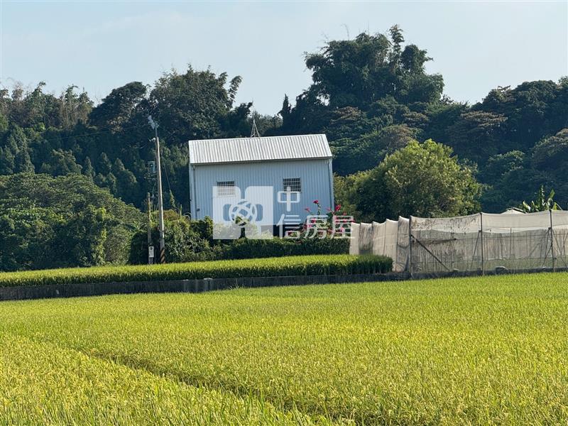 稀有合法農舍33坪