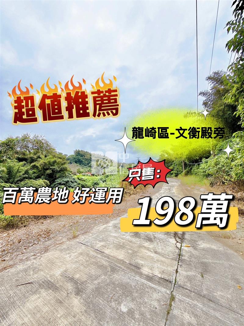 龍崎便宜2分半農地可農保(6)