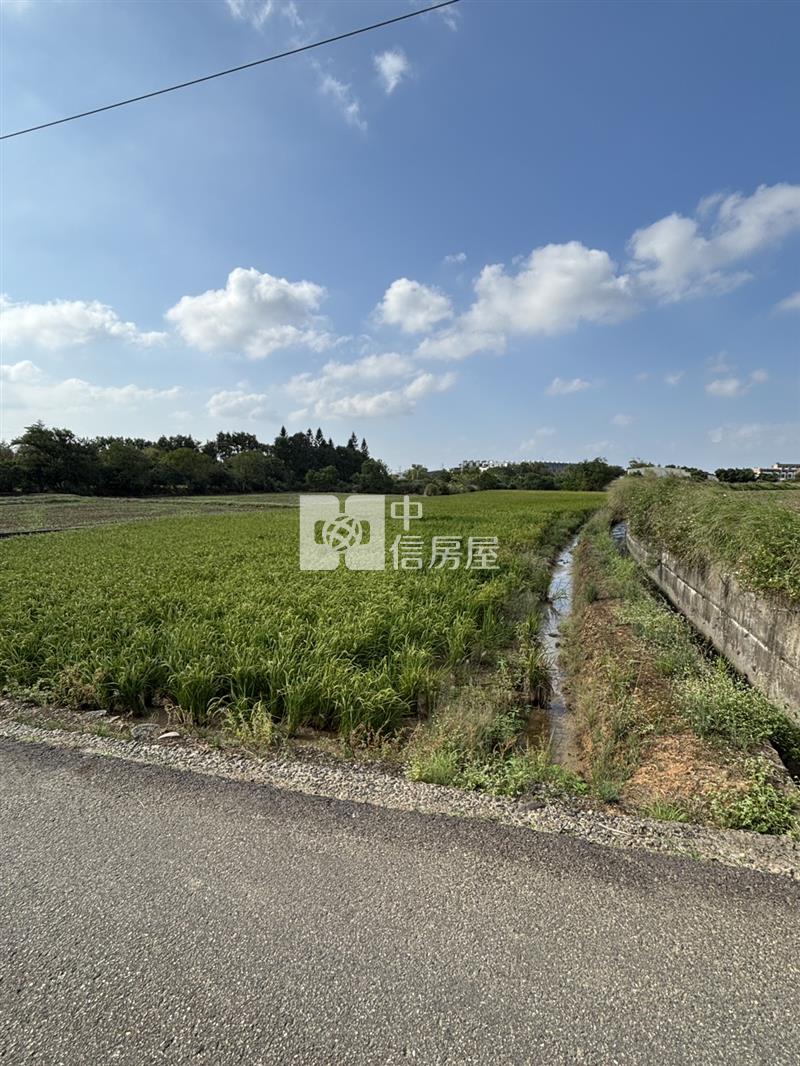 觀音忠愛莊美農地