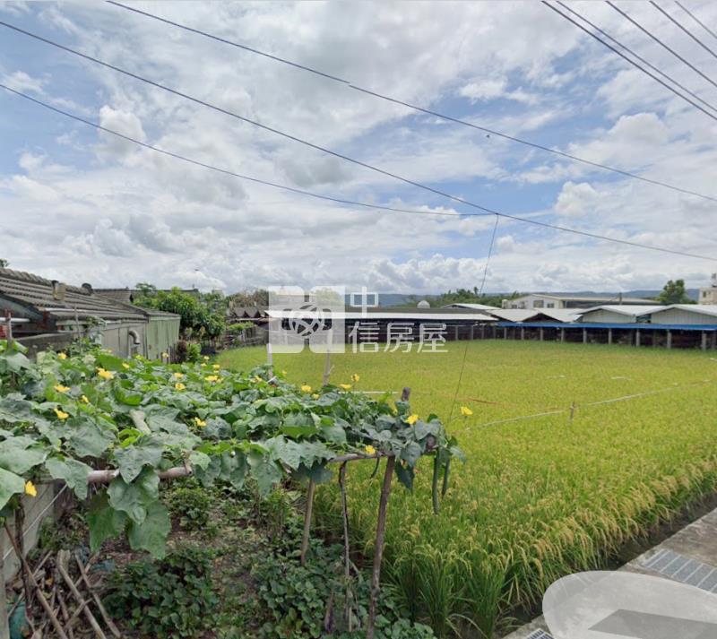 永靖永裕路330坪特農