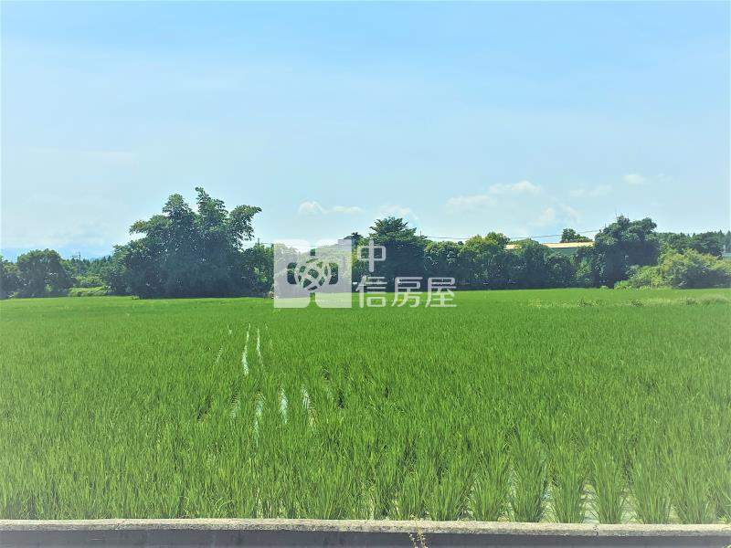 大里夏田產業園區6米路農地