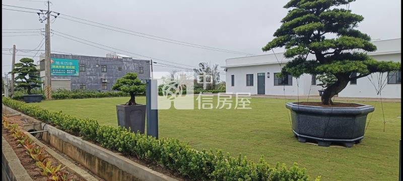 觀音石橋雙戶簡約白色美農舍