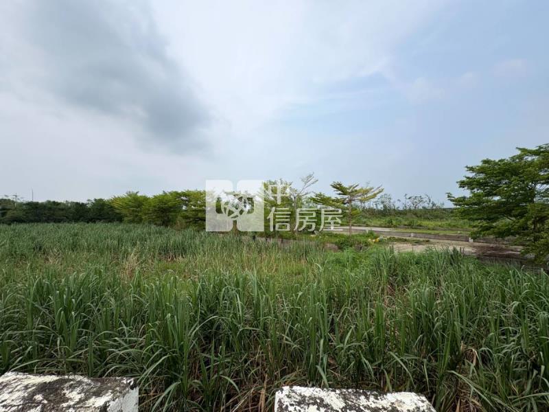 嘉義水上鄉近市區持分農地