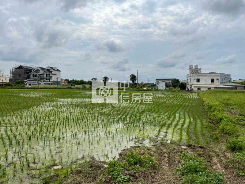 楊梅老飯店投資持分公告現值農地(現況點交)