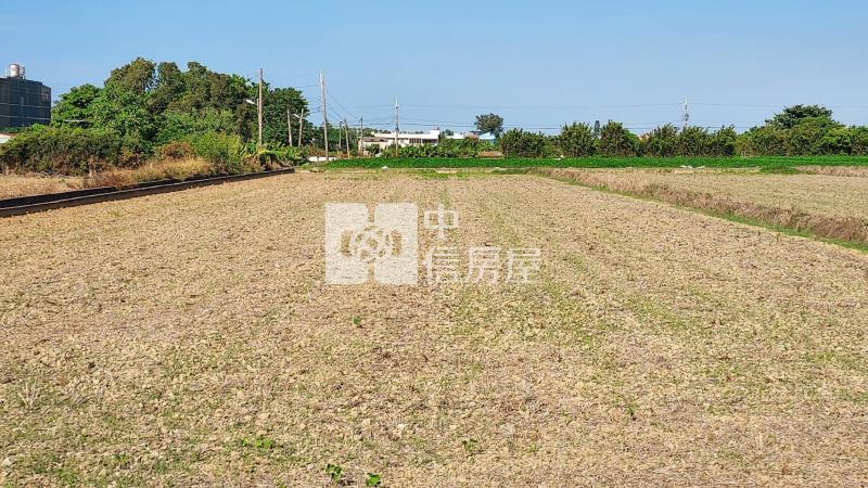 新屋華興路便宜農地