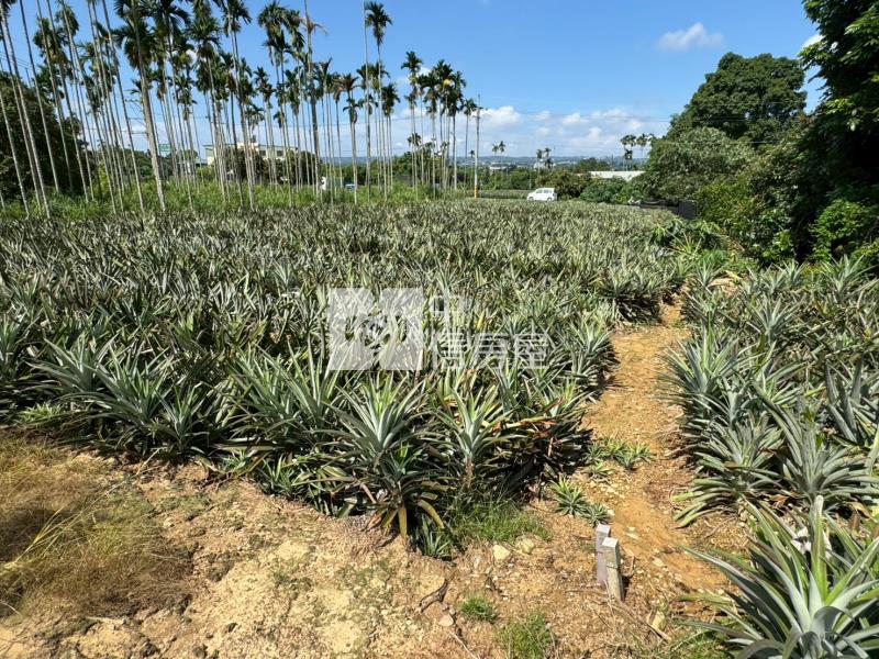 萬丹15米路經濟美農地