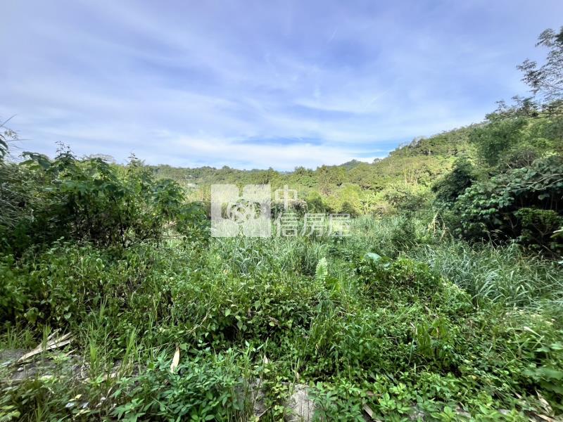 國際高爾夫球旁平坦農地