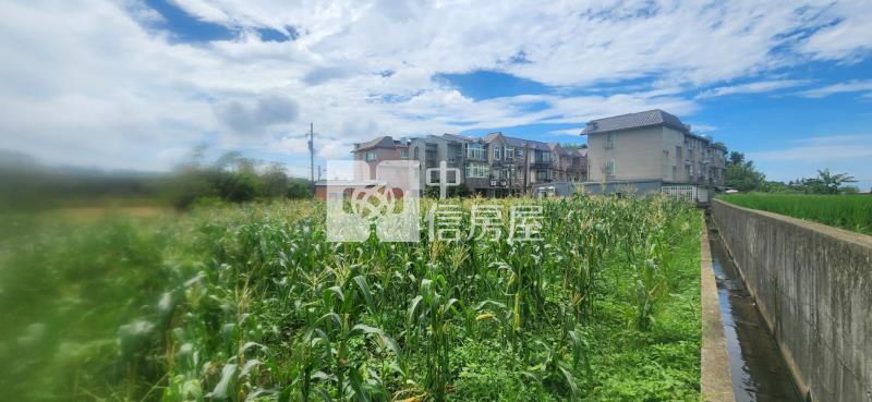 新豐風車之戀合法資材室