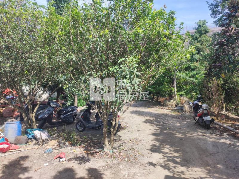 田尾順圳田+建2