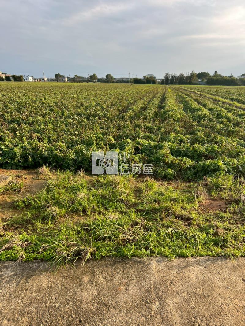 新屋區近六六快速路八段農地