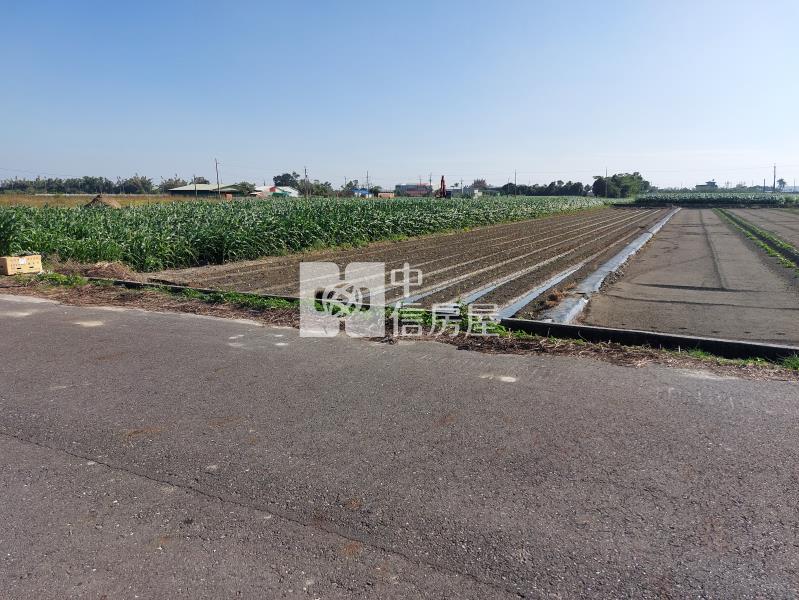 24116將軍漚汪西甲農地(2)