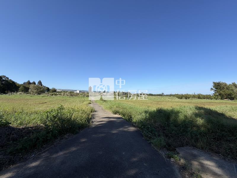 金龍路投資農地