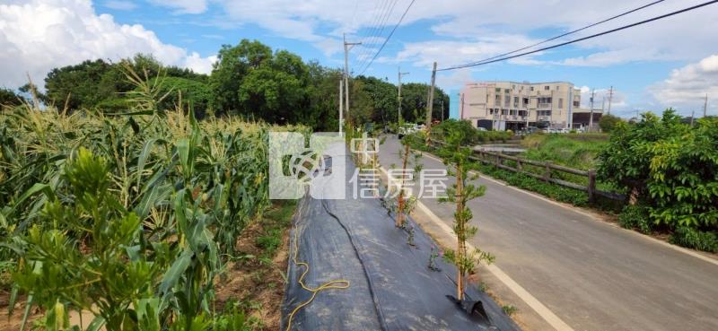 新豐低總價合法置材室+開心農場