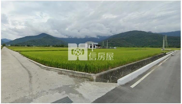 台東池上鄉八分半農地