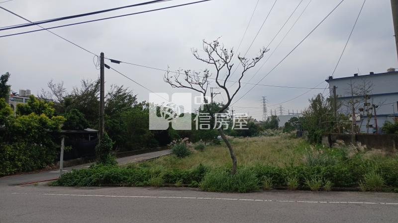 ㊣大湖路雙面臨路農地386