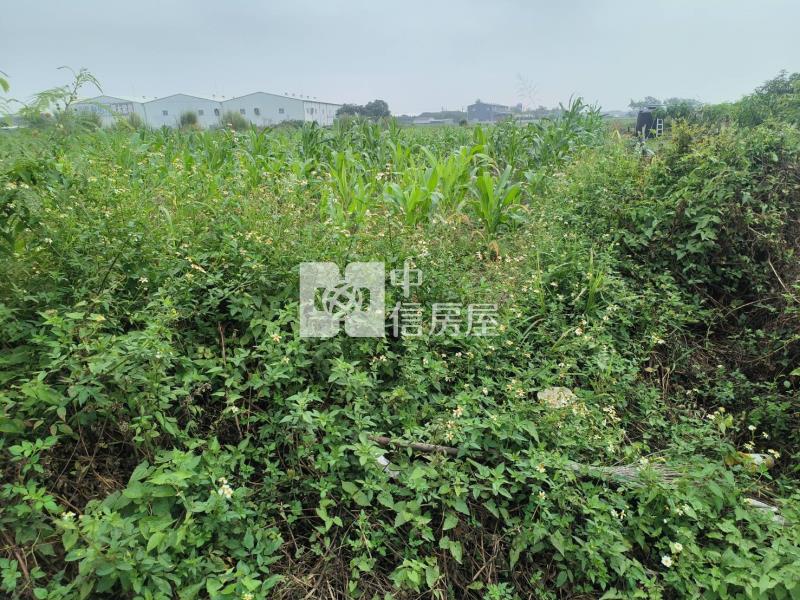 仁德崑崙路可投資農地