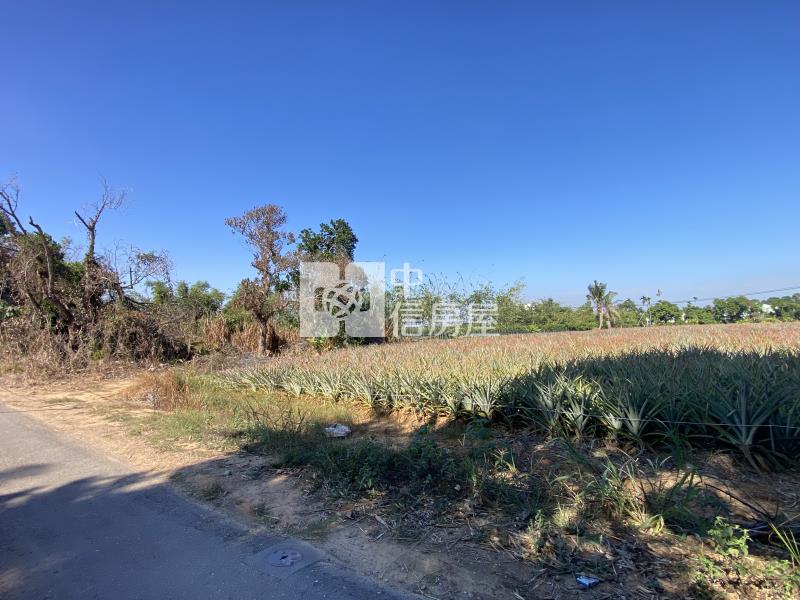 東區開心小農地