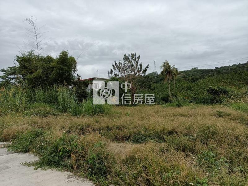初鹿郵局後1028坪臨路平坦農地