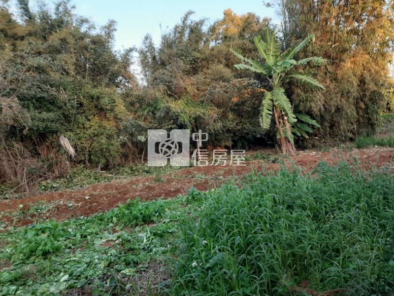 （專委）新屋10米路農地附農舍