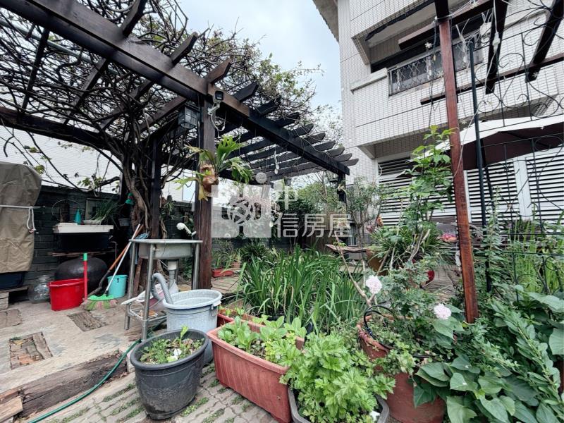 園區大面寬美式別墅