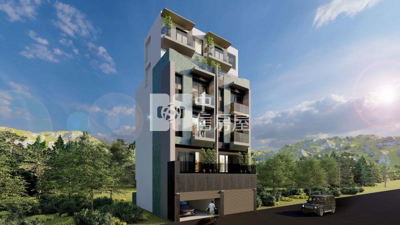 日脈大續三車電梯別墅B(預售)