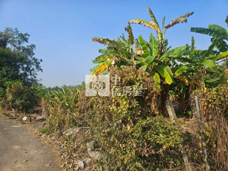 歸仁北段區段徵收內農地